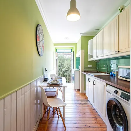 In The Typical Neighborhood- Graca Lisboa