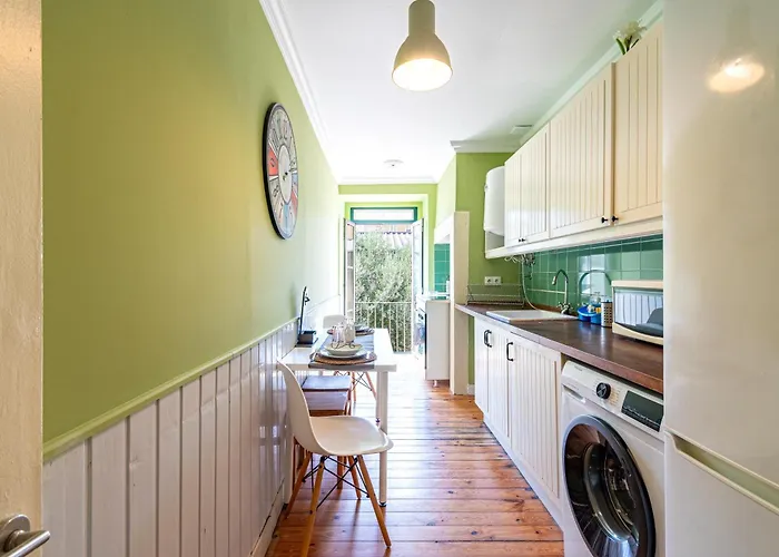 In The Typical Neighborhood- Graca Lisboa